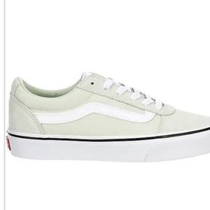 vans unworn pastel sage low tops